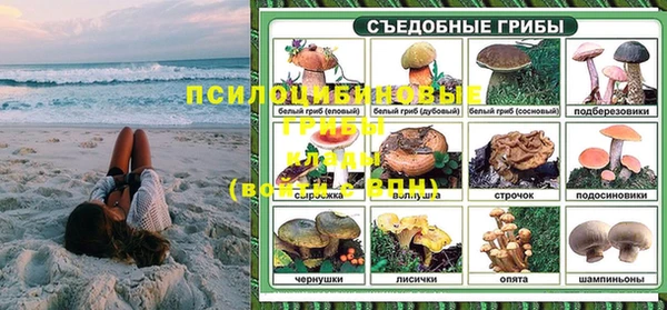 прущие грибы Белокуриха