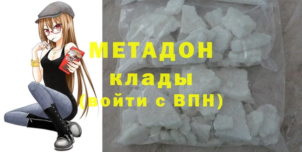 прущие грибы Белокуриха