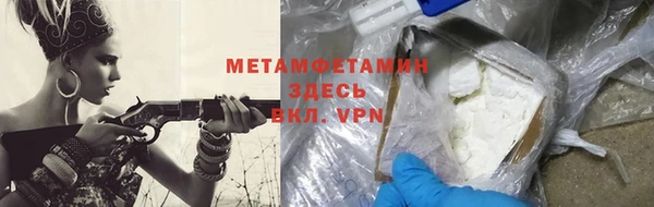 прущие грибы Белокуриха