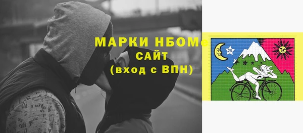 прущие грибы Белокуриха
