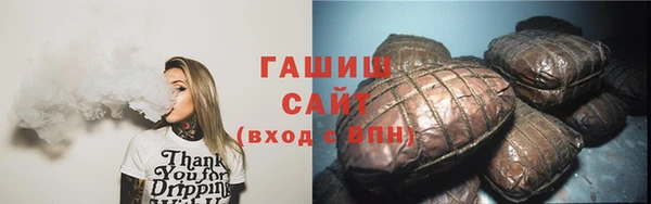 прущие грибы Белокуриха