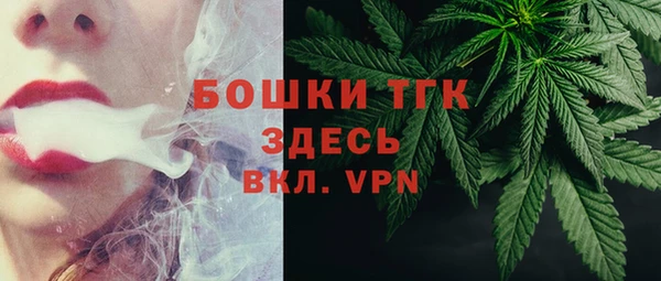 прущие грибы Белокуриха