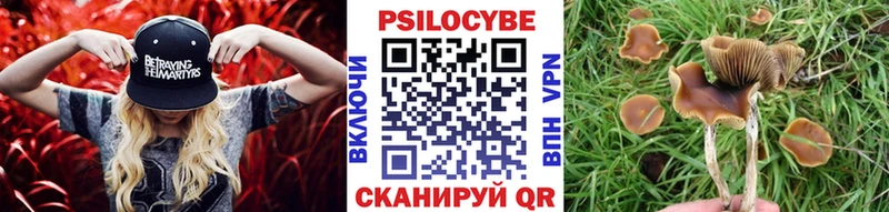 наркотики  Волоколамск  Галлюциногенные грибы Magic Shrooms 